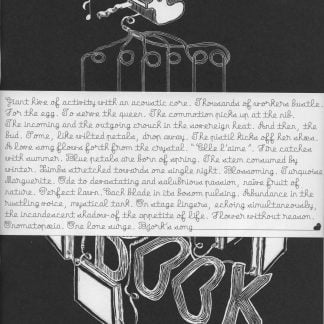 Björk - Conversation With Björk - Book