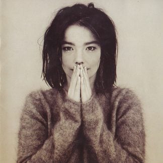 Björk - Debut