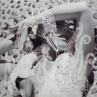 Björk ‎- Vespertine